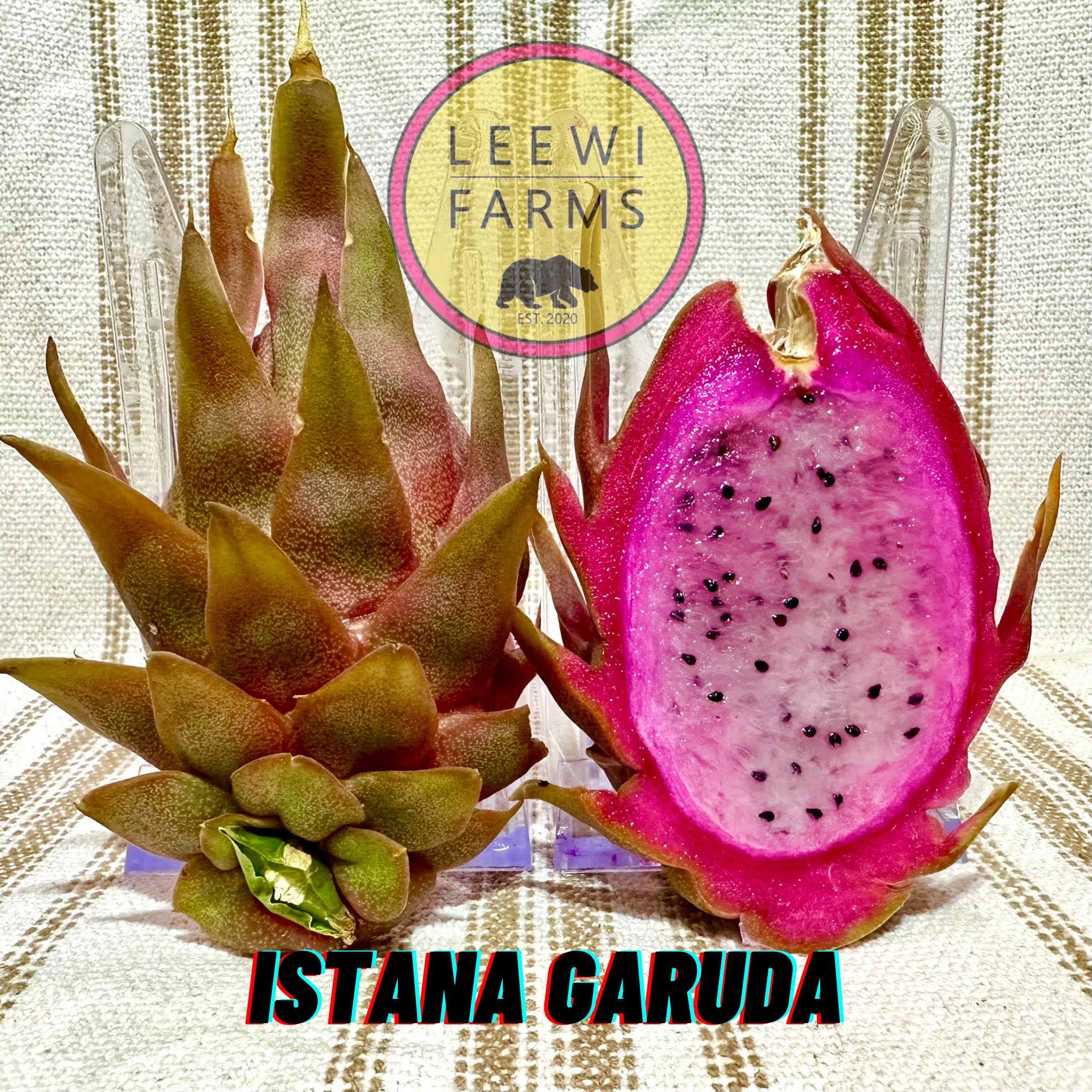 Istana Garuda Leewi Farms istana-garuda-leewi-farms