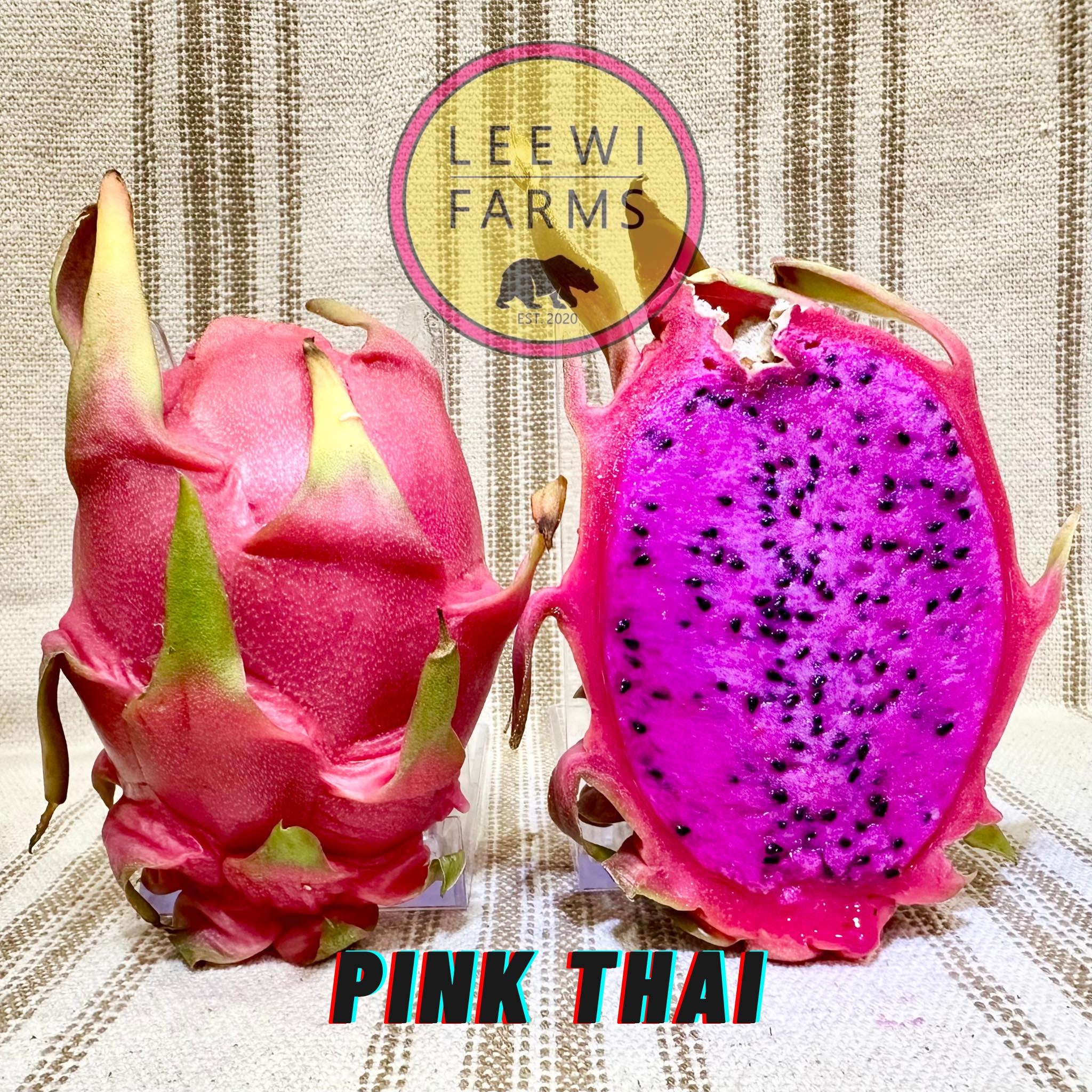 Townsend Pink | Leewi Farms