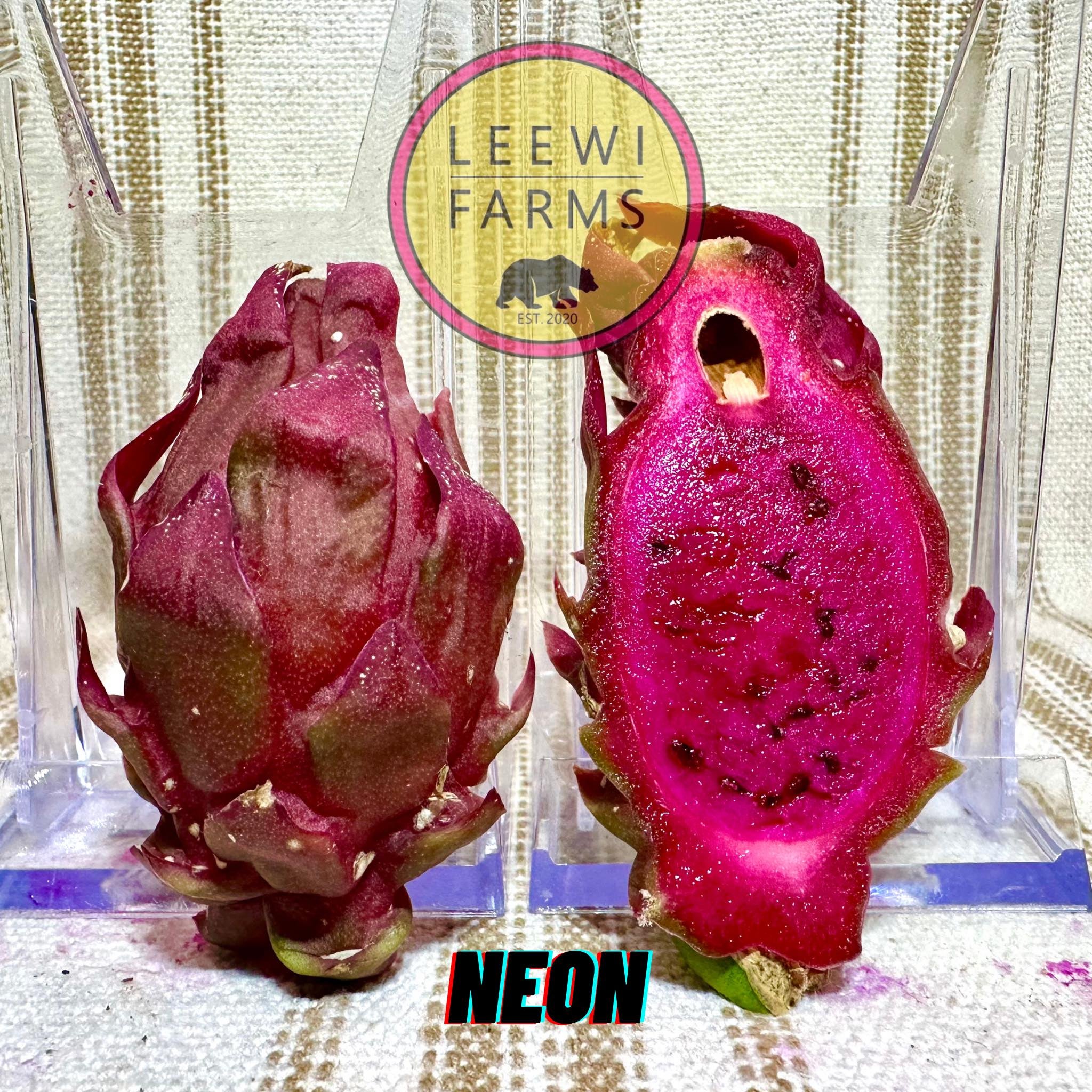 neon-leewi-farms