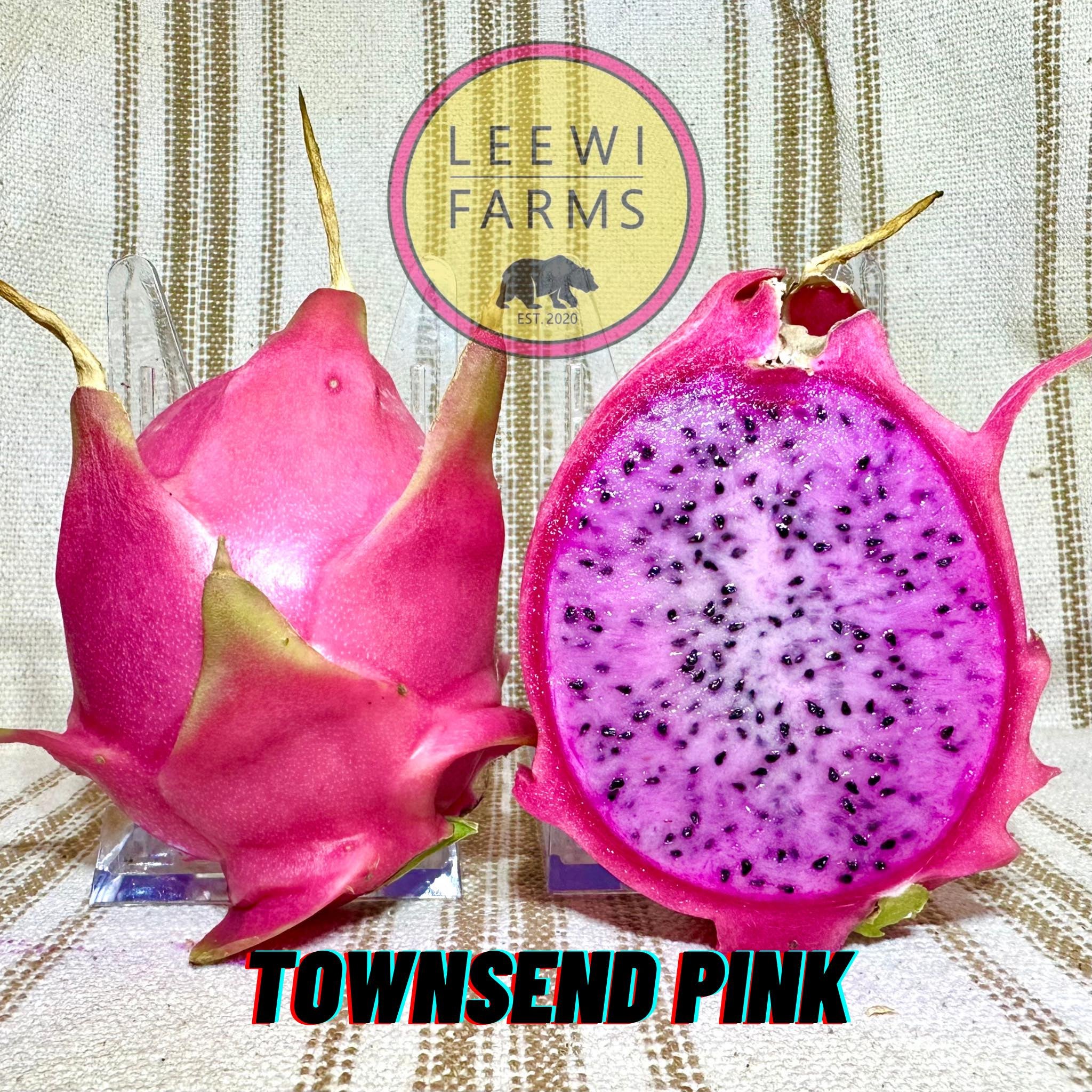 Townsend Pink | Leewi Farms