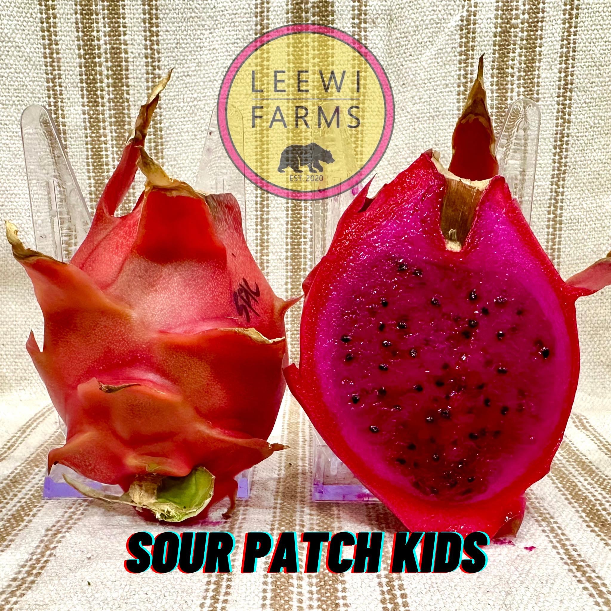 sour-patch-kids-leewi-farms