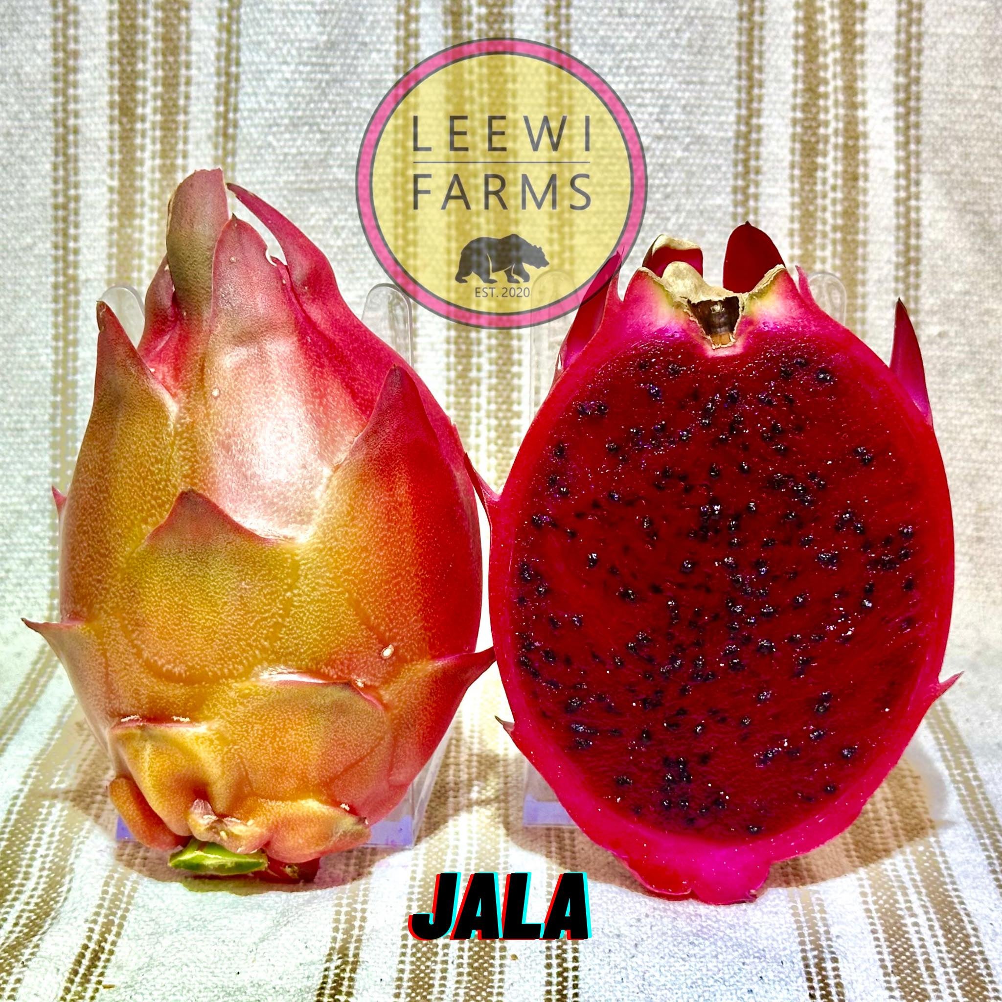 Jala | Leewi Farms