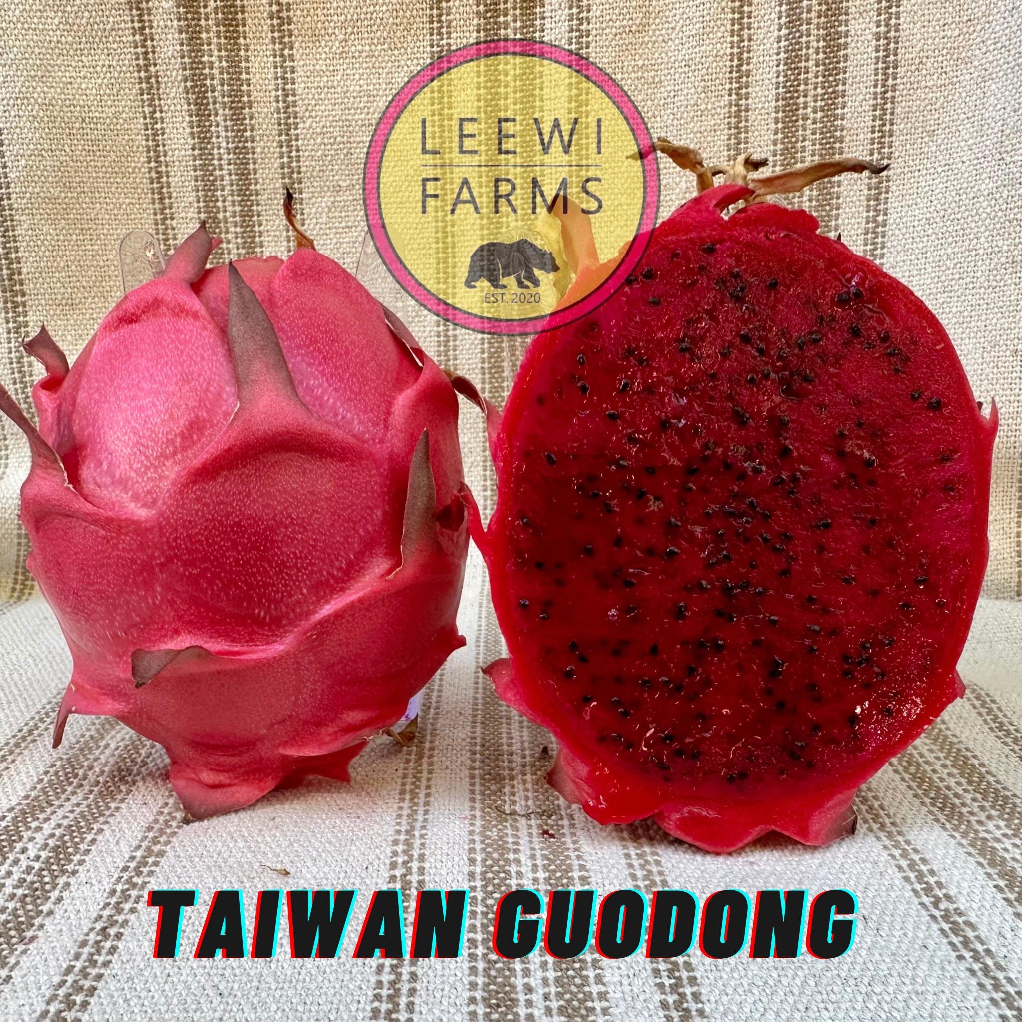Guo Dong 果凍 | Leewi Farms
