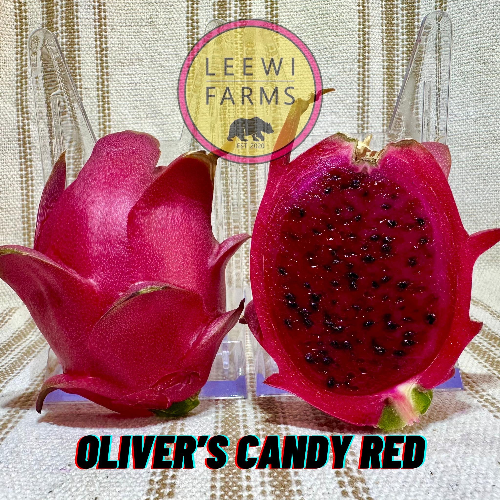 Oliver's Candy Red | Leewi Farms
